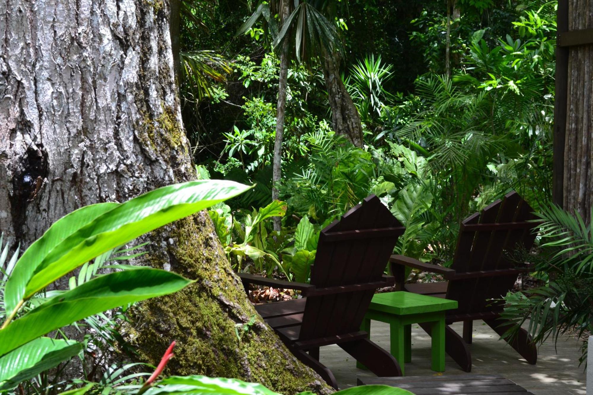Hotel Jungle Lodge Tikal Room photo