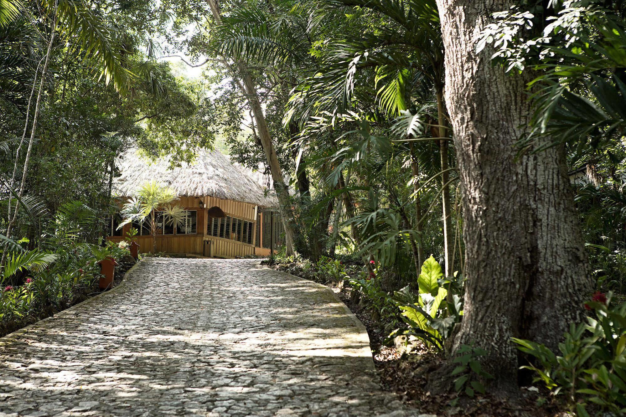 Hotel Jungle Lodge Tikal Exterior photo